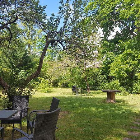 Pension Villa Inge Baden Bagian luar foto