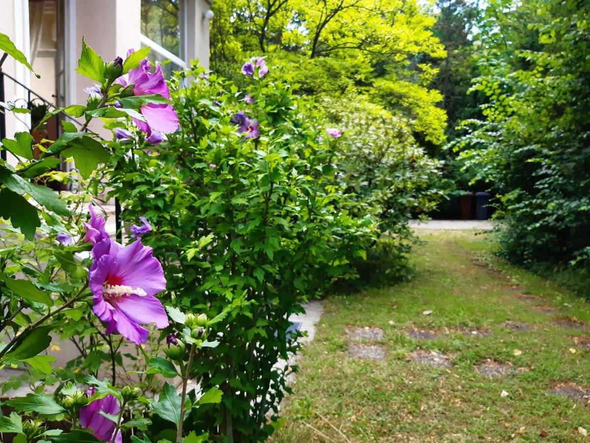 Pension Villa Inge Baden Bagian luar foto