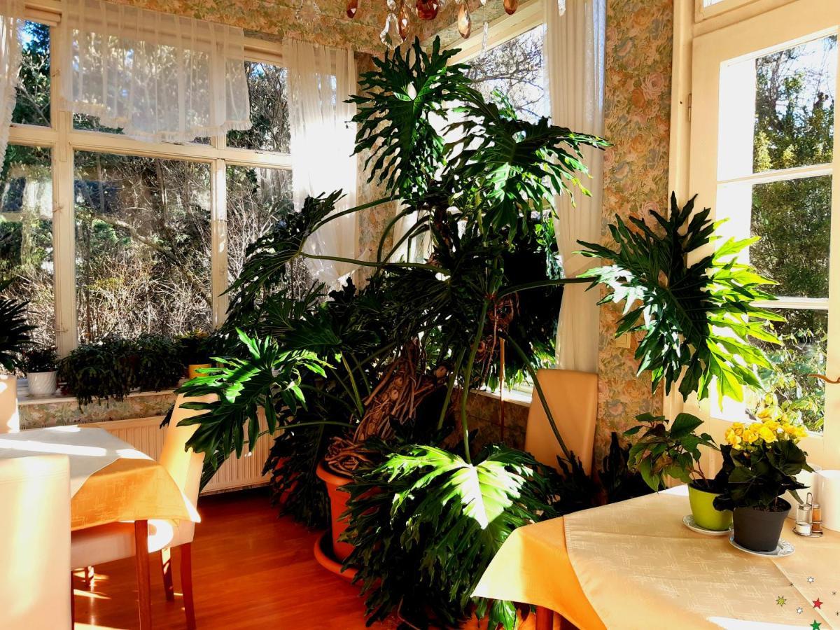 Pension Villa Inge Baden Bagian luar foto