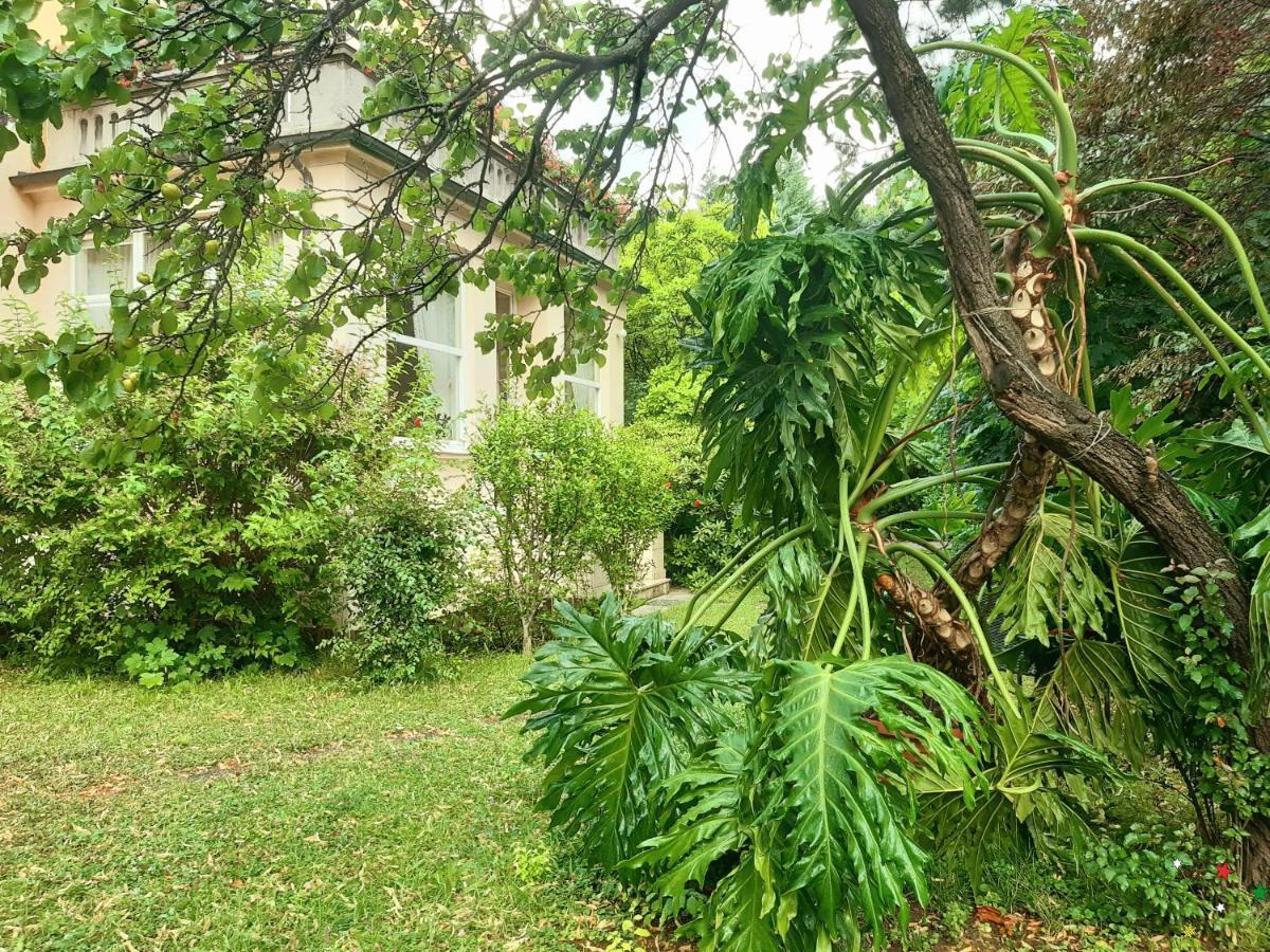 Pension Villa Inge Baden Bagian luar foto
